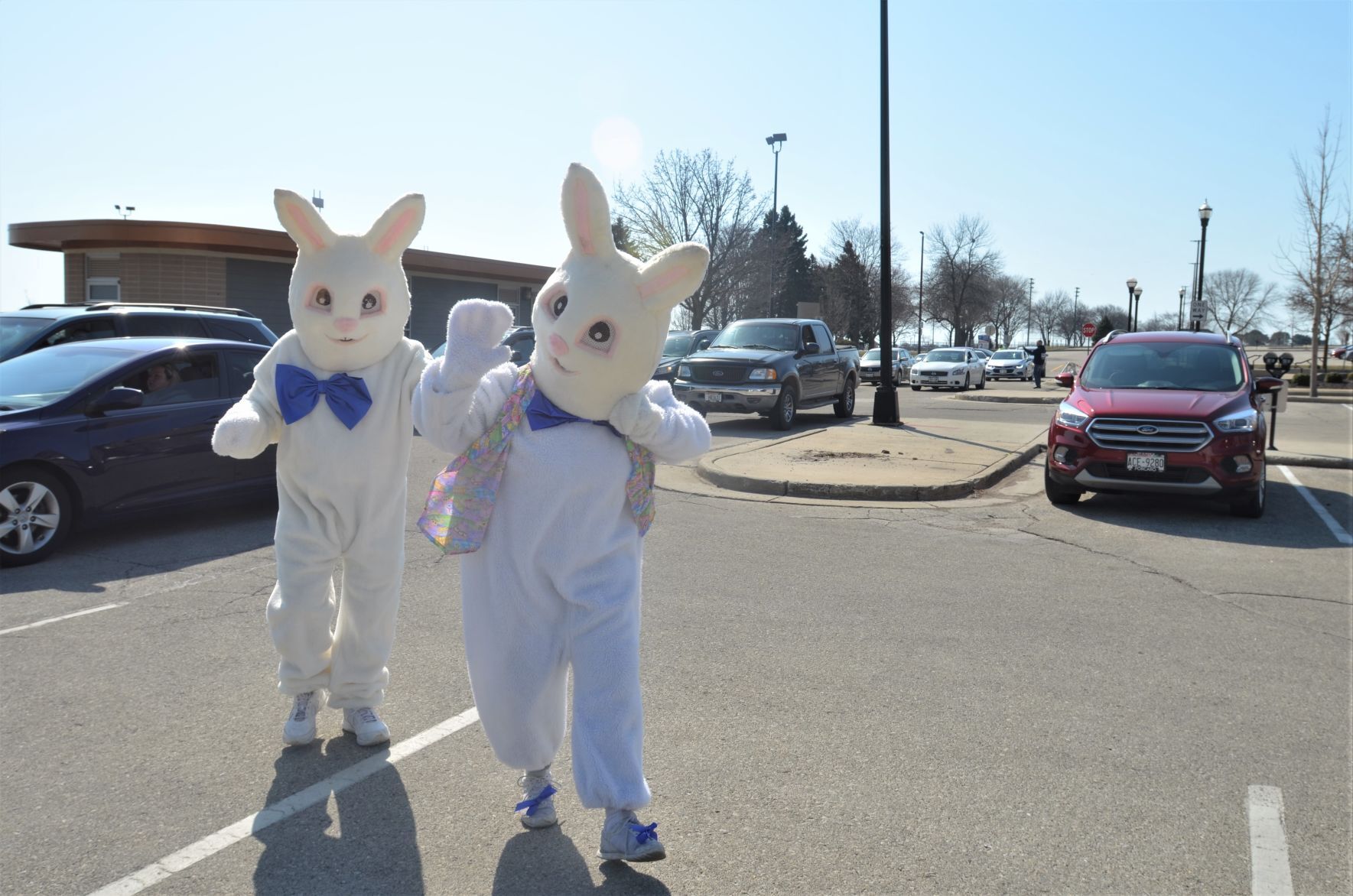 Easter Bunnies